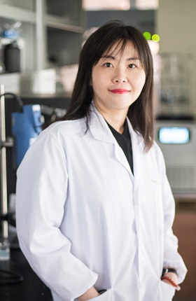 Dr Xin Zhao Department Of Biomedical Engineering