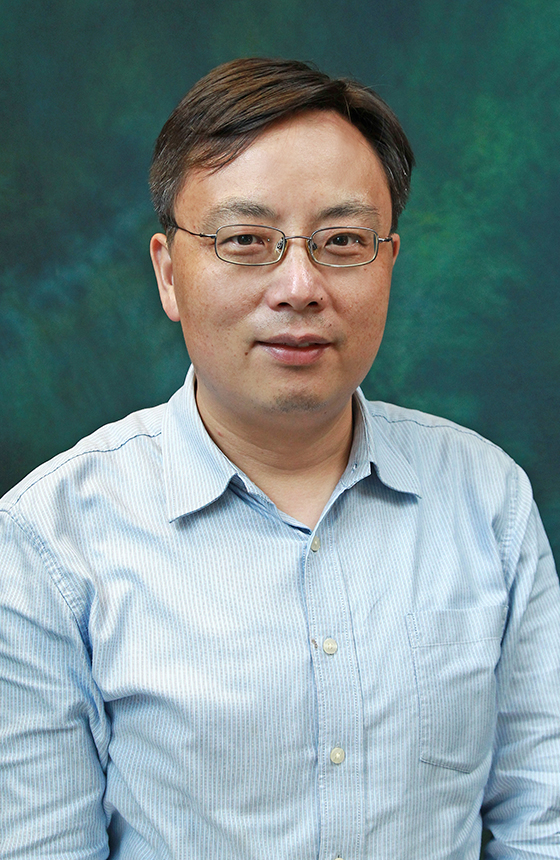 Prof. Feng YAN