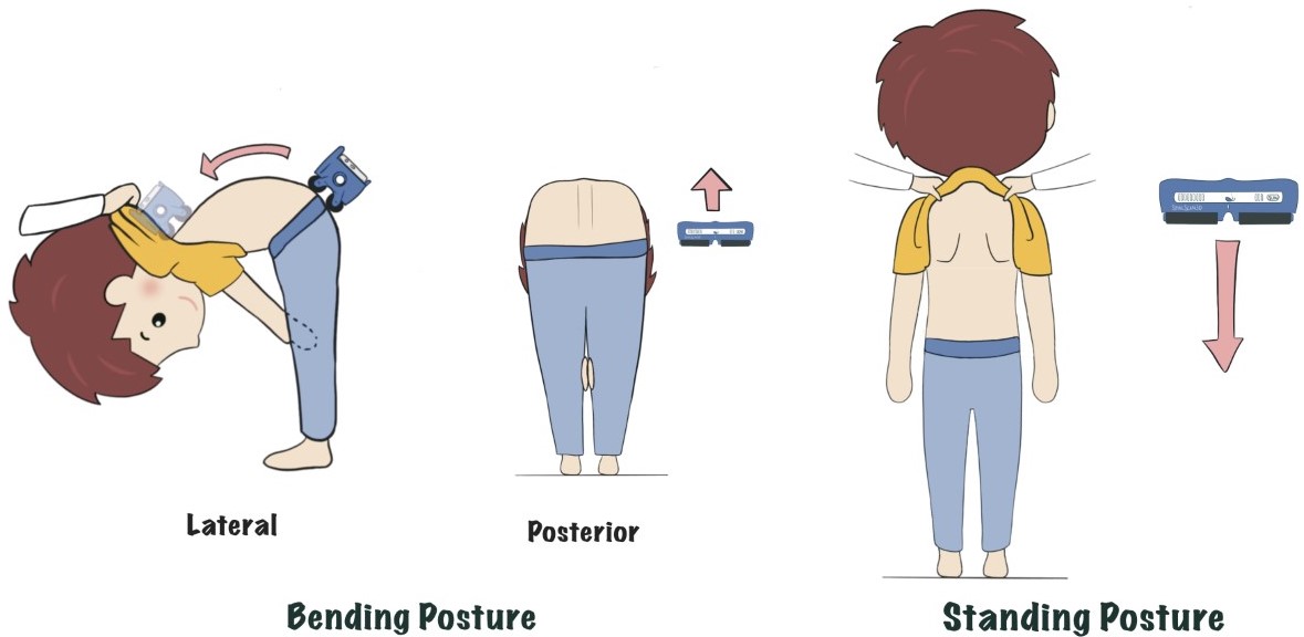 spinescan procedure eng