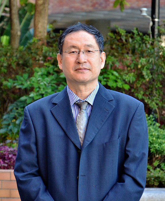 Ir Prof. Ming ZHANG