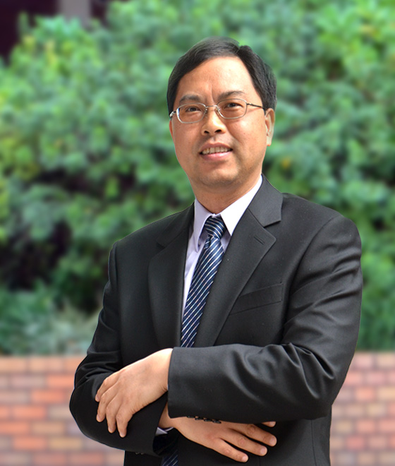 Ir Prof. Yong Ping ZHENG
