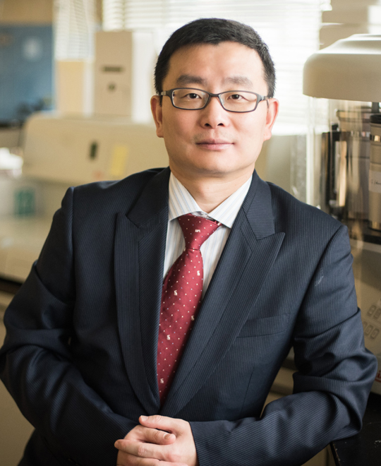 Dr. Chunyi WEN
