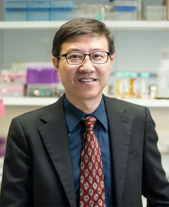 Dr. Lei SUN
