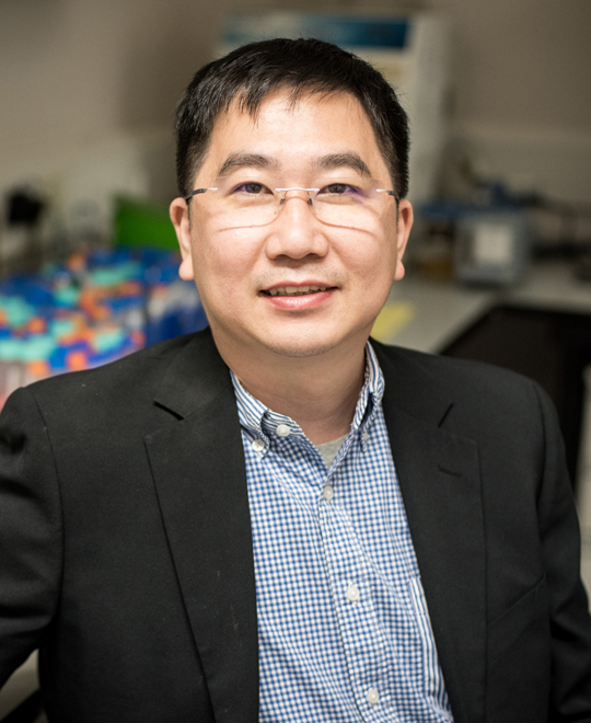 Prof. Mo YANG