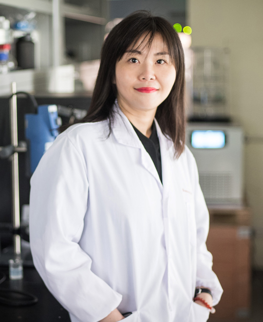 Dr. Xin ZHAO