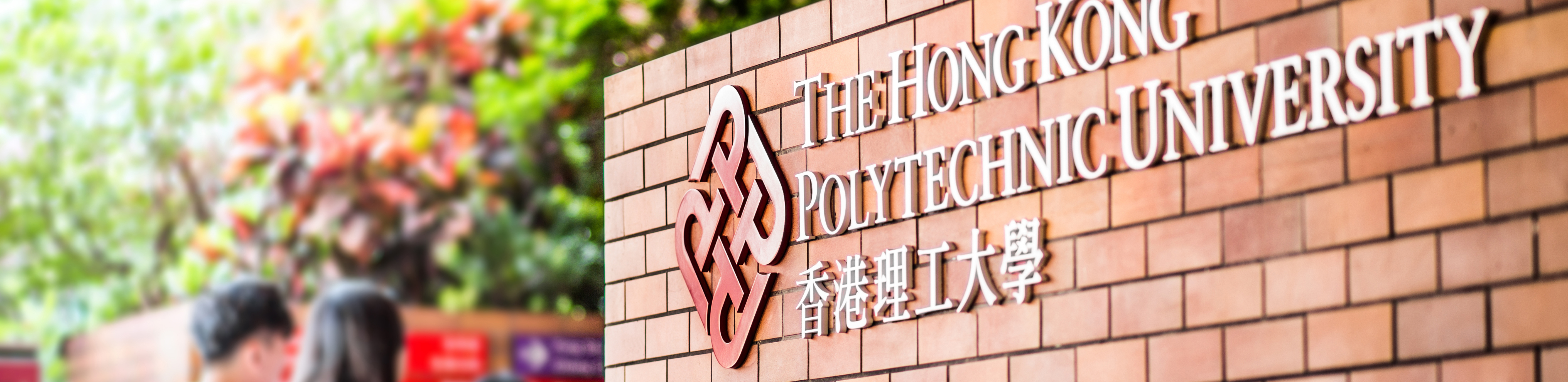 Sr Dr Ivy Siu Wai WONG