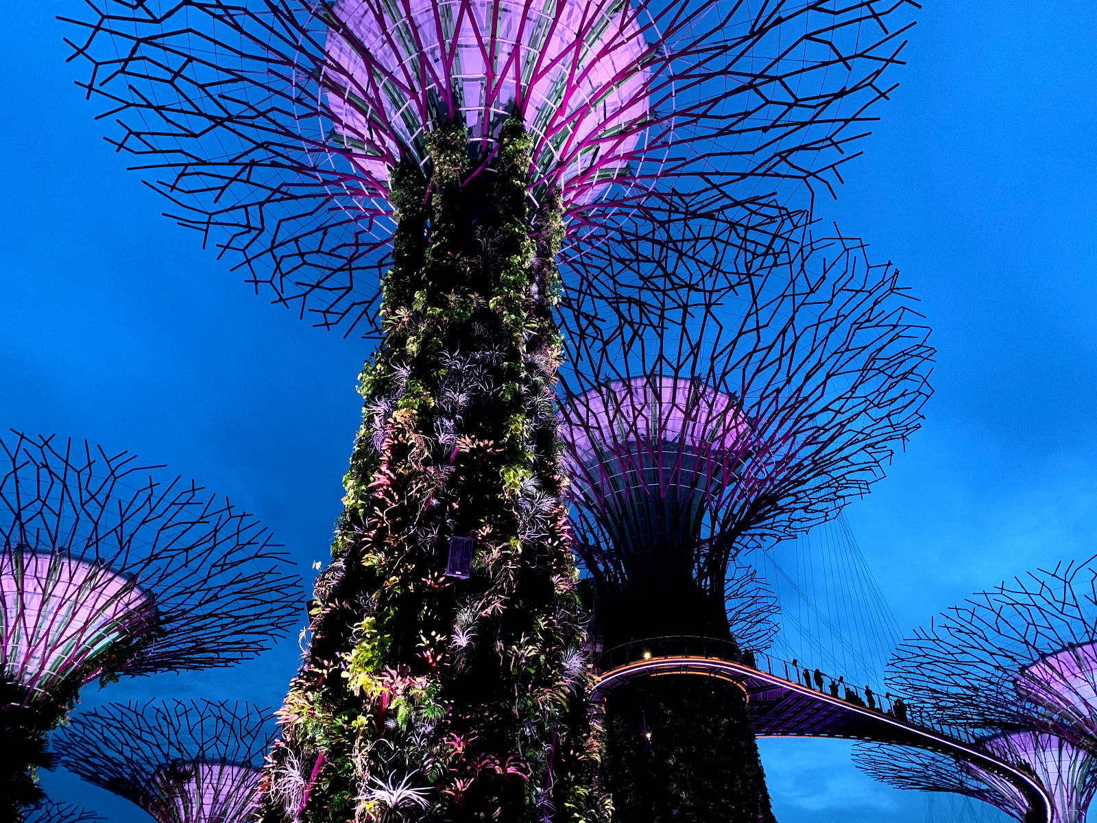 Study Tour to Singapore Surveying Students24