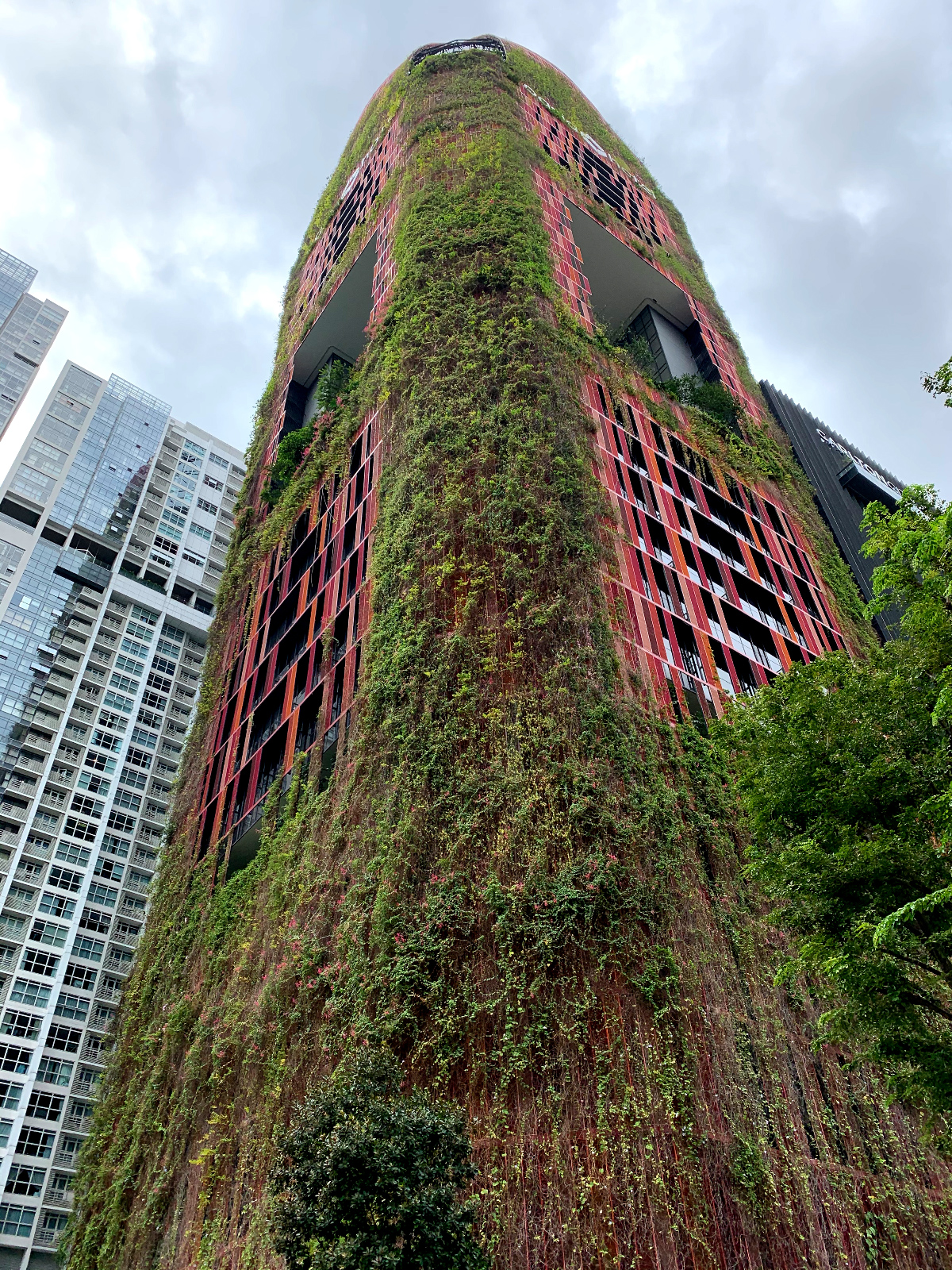 Study Tour to Singapore Surveying Students29