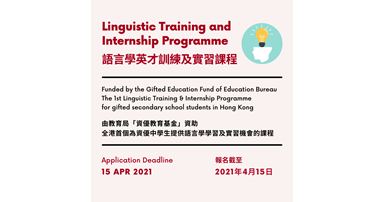 Linguistic Training and Internship Programme (2)
