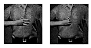 Two images of ASL signs. On the left is the sign for PLEASE, consisting of an open hand held palm-inwards in front of the chest. On the right is the sign for SORRY, which consists of a closed fist held in the same place and orientation.
