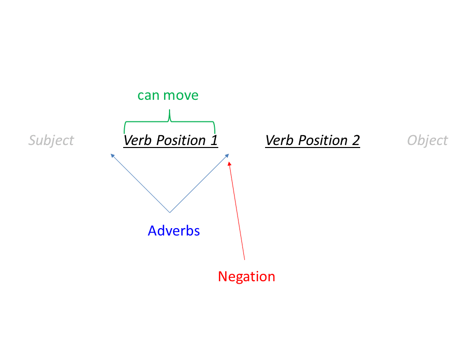 An image showing that adverbs can go before or after position 1, negation goes after position 1, and position 1 is able to undergo movement.