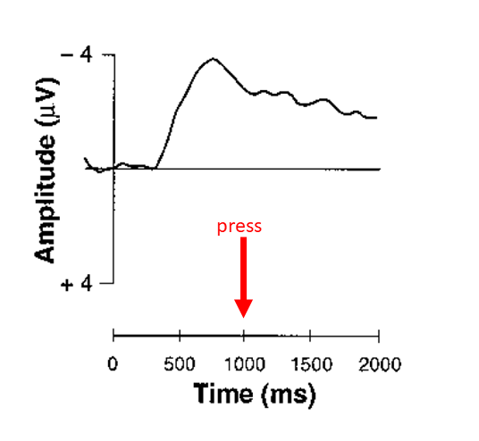 A graph of a brain wave. The x-axis represents time and the y-axis represents amplitude of the wave. The brain wave is a squiggly line going up and down as it moves from left to right. It shoots up to its peak a little bit before 1000 ms on the time scale. A red arrow indicates that 1000 ms is the time when the participant this wave was recorded from pressed a button.