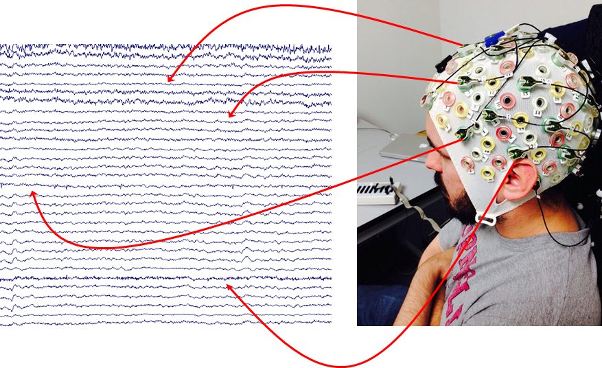 The left side of the picture shows a series of approximately parallel wavy lines. The right side of the picture shows a man wearing a white elastic EEG cap. Several red arrows are drawn from some of the EEG electrodes to some of the wavy lines on the other panel of the figure.