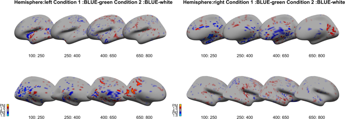 Arabic color whole-brain plots