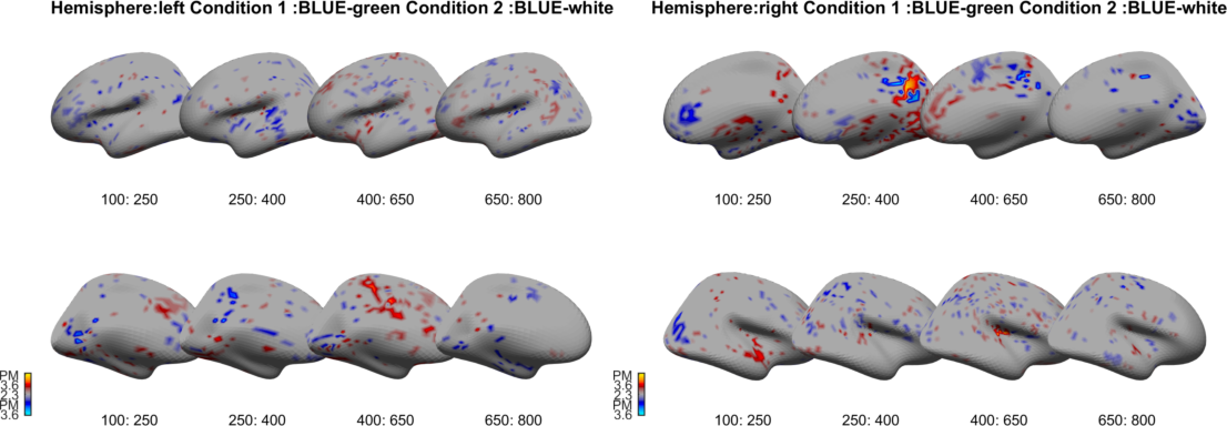 English color whole-brain plots