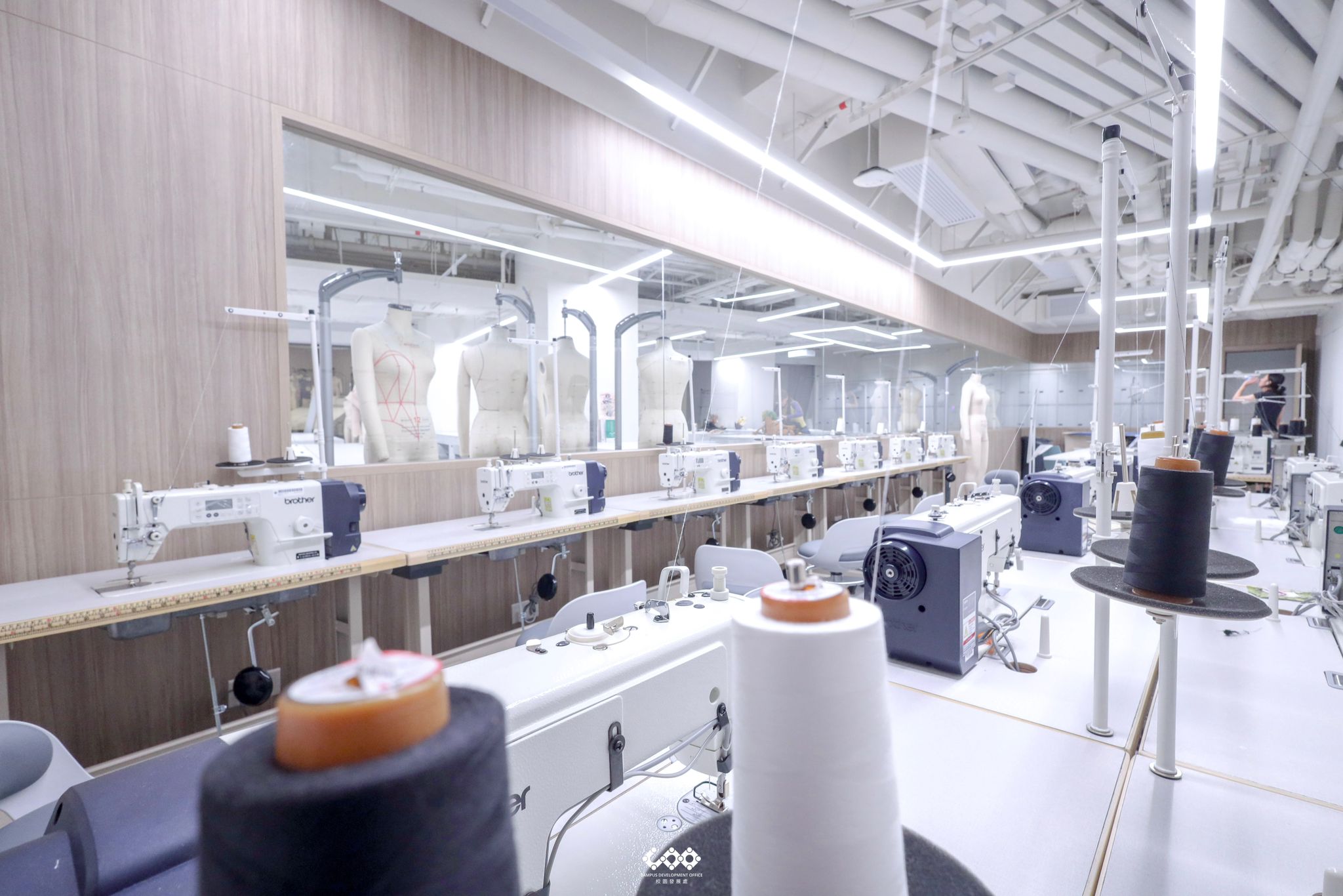 WhatsApp Image 20250110 at 111432df7ddc9f