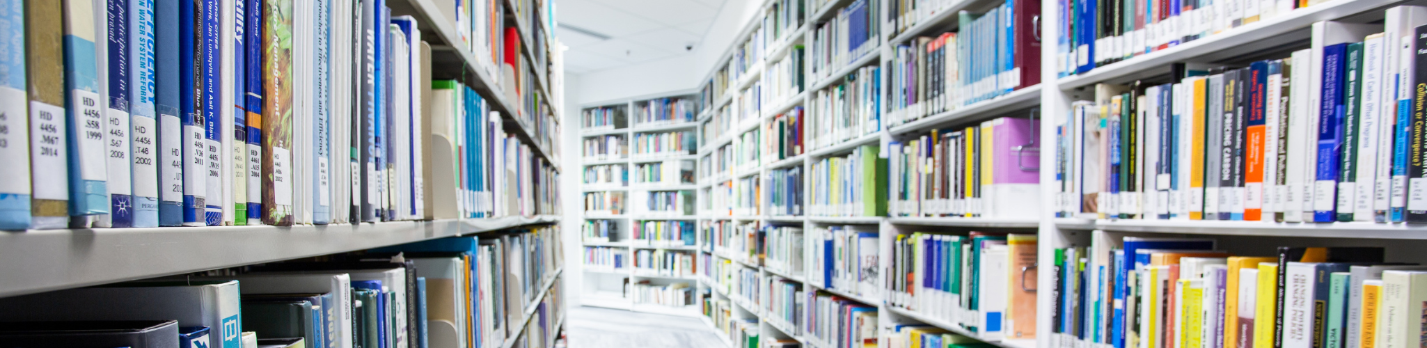 20230714_C0139_for CEE website Professor of Practice banner