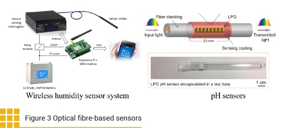 Figure 3 Optical fibre-based sensors