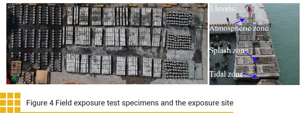 Figure 4 Field exposure test specimens and the exposure site