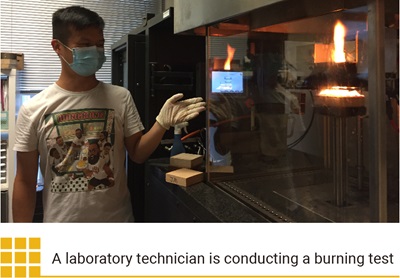 A laboratory technician is conducting a burning test