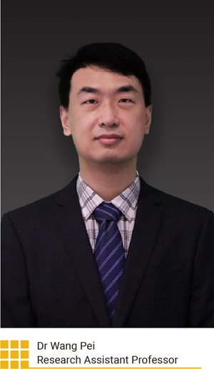 Dr Wang Pei Research Assistant Professor