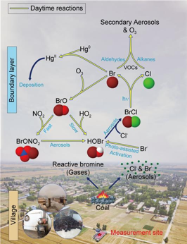 20210127_news_ResearchOfHalogen_02