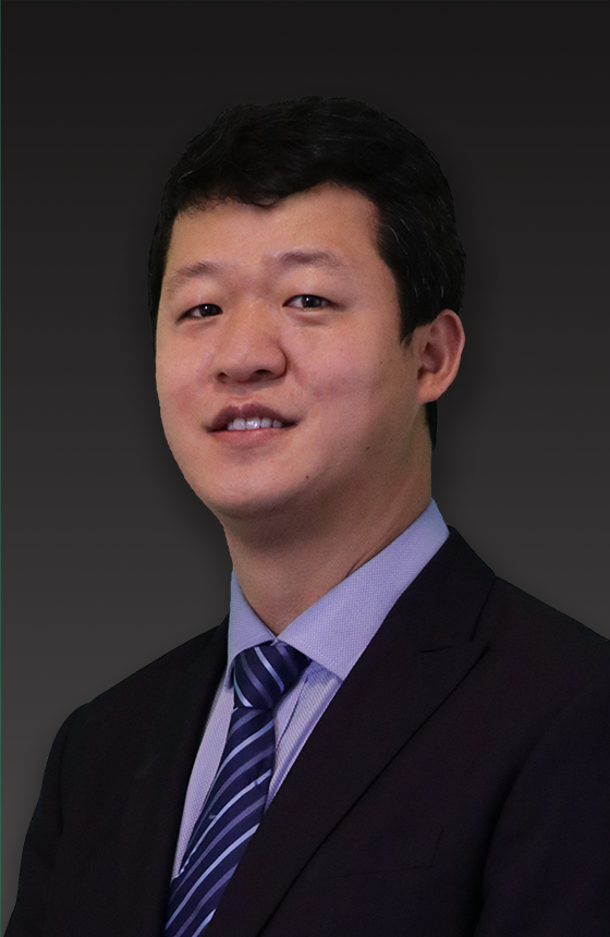 Dr Peiliang SHEN