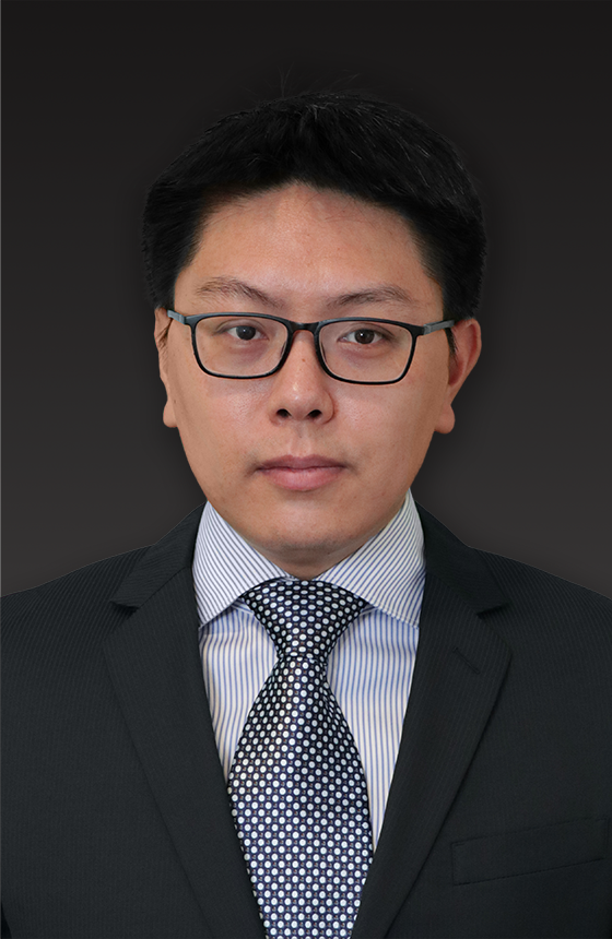 Dr Fei WANG