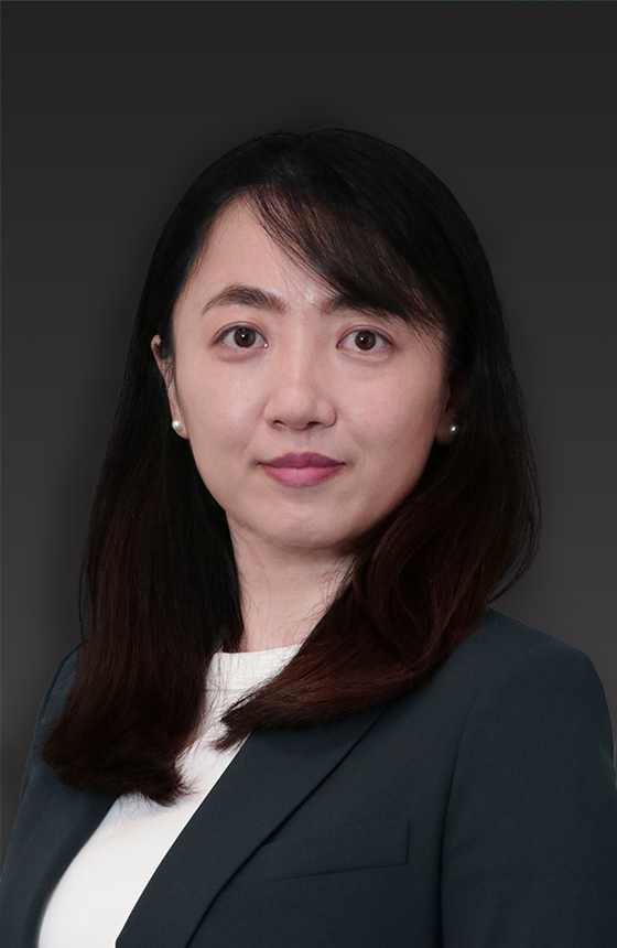 Dr Meng WANG