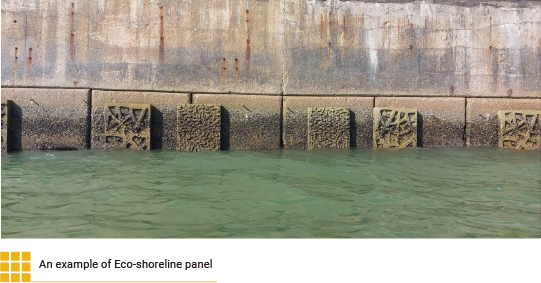 An example of Eco-shoreline panel