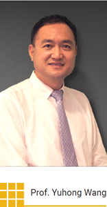 Prof. Yuhong Wang