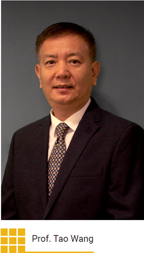 Prof. Tao Wang