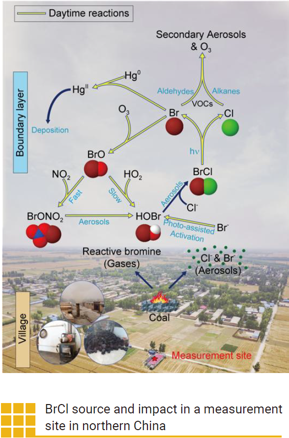 BrCl source and impact in a measurement site in northern China