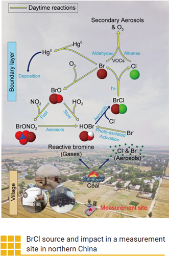 BrCl source and impact in a measurement site in northern China