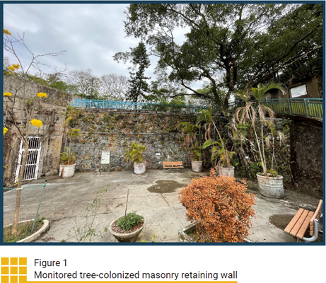 Monitored tree-colonized masonry retaining wall