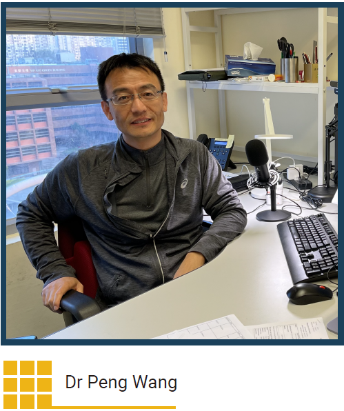Dr Peng Wang