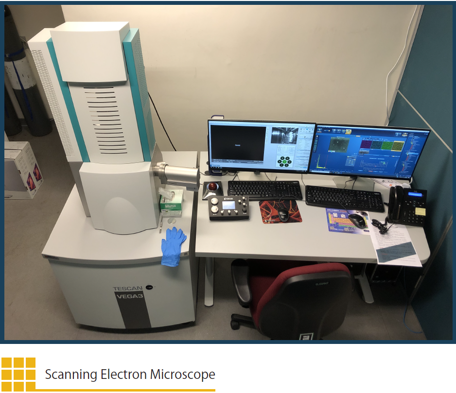 Scanning Electron Microscope