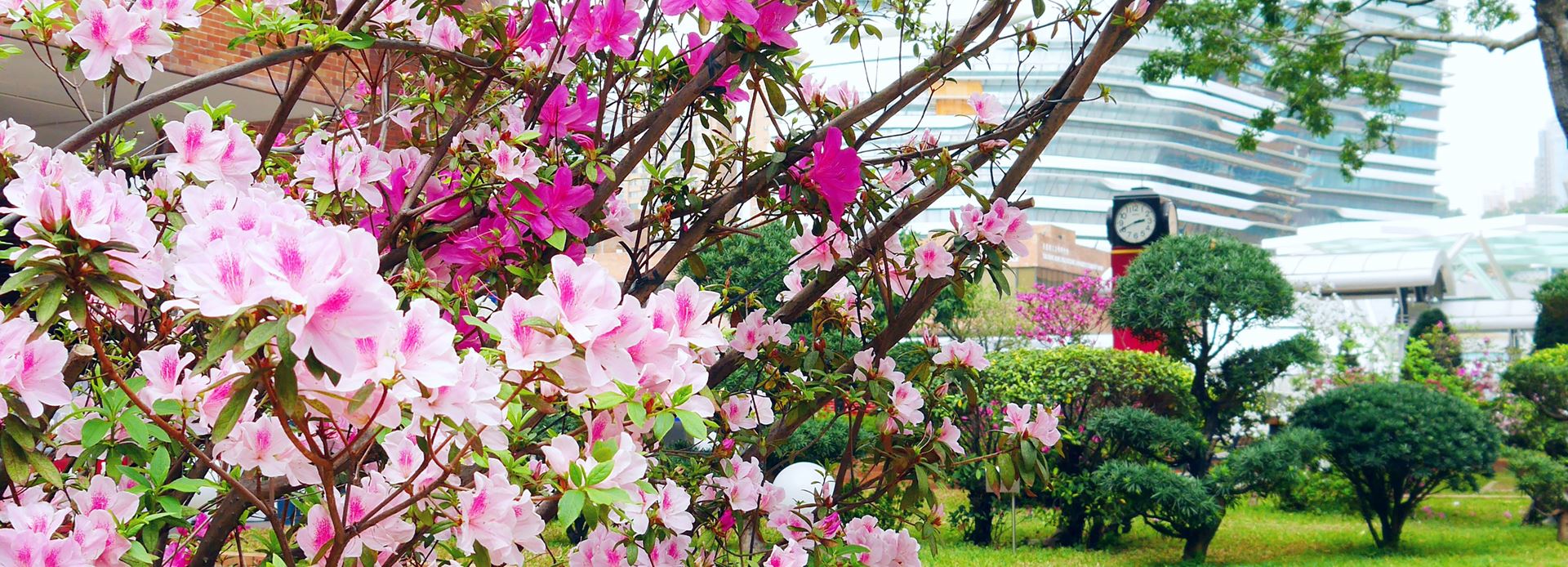 campus-4-3840x1388