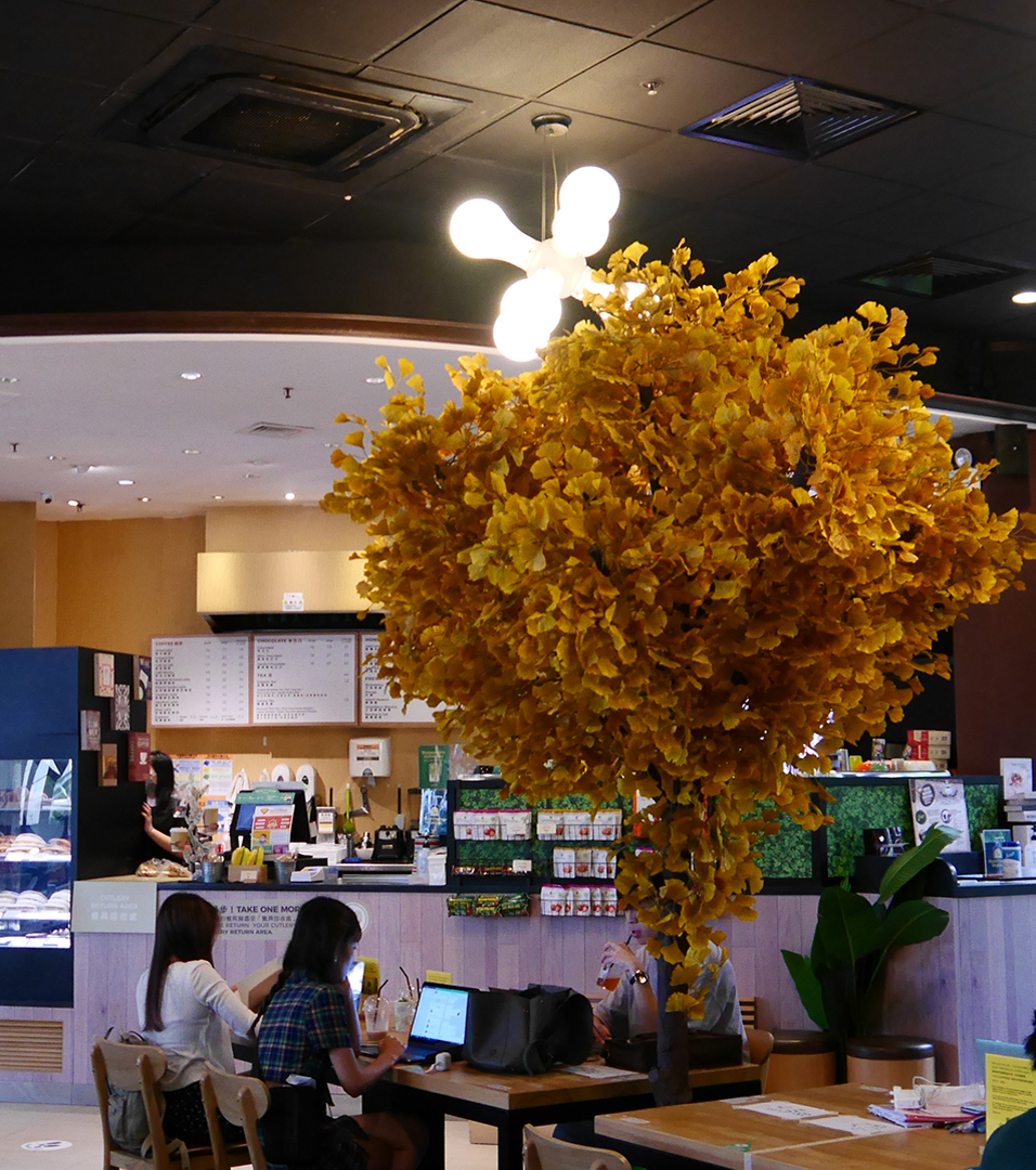 LibCafe956x1080