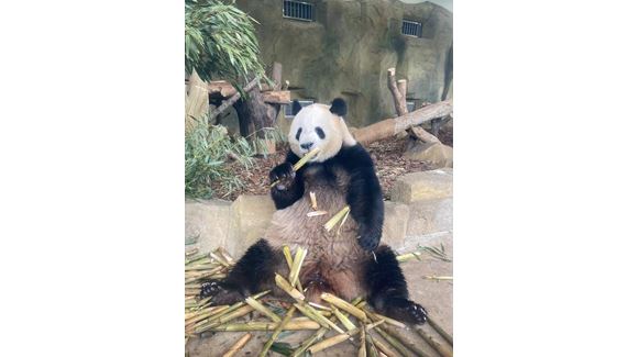Image_20230615111753