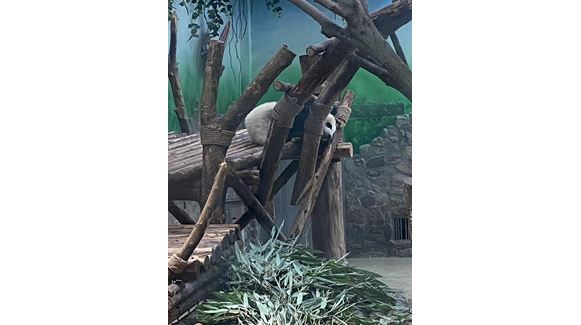 Image_20230615111807