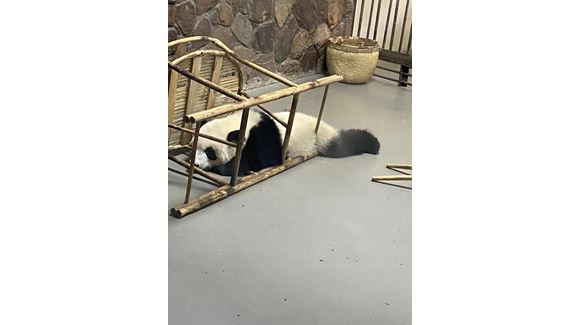 Image_20230615111811