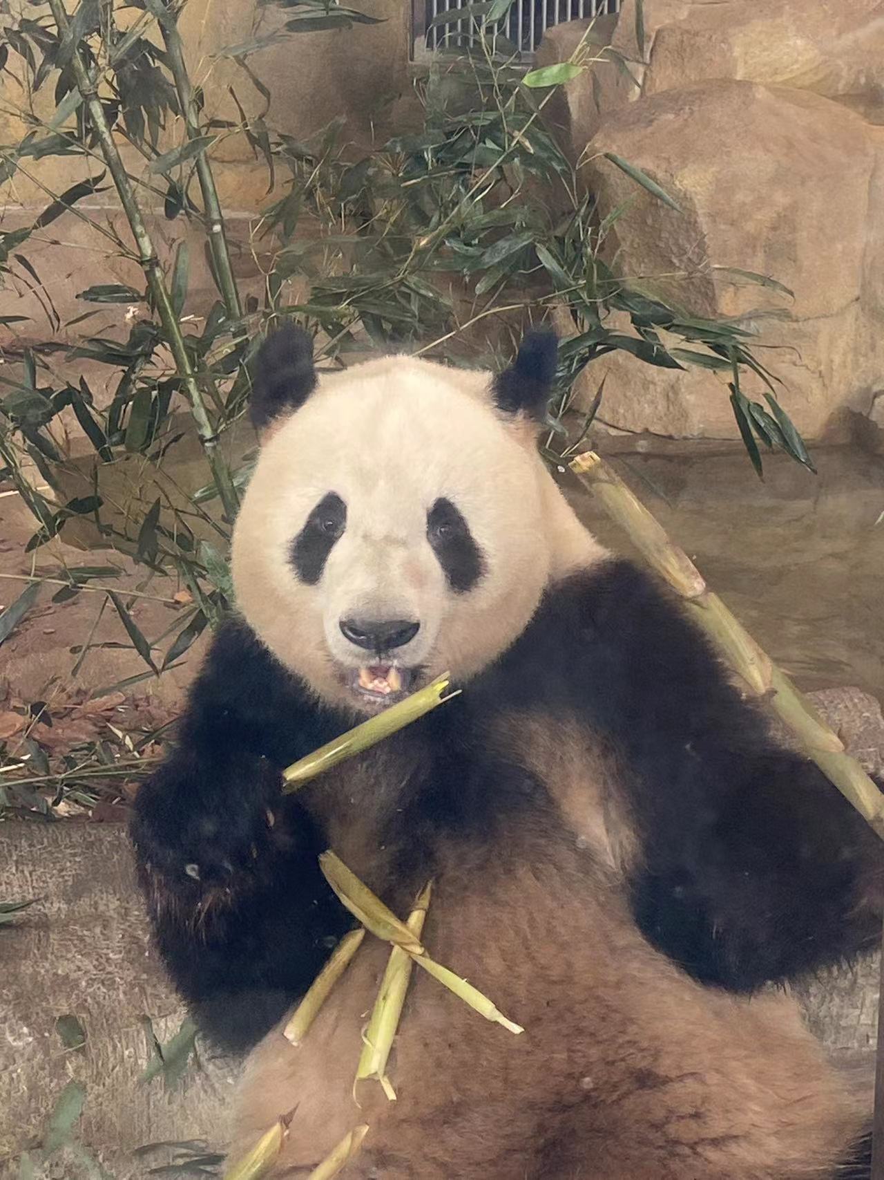 Image_20230615111746