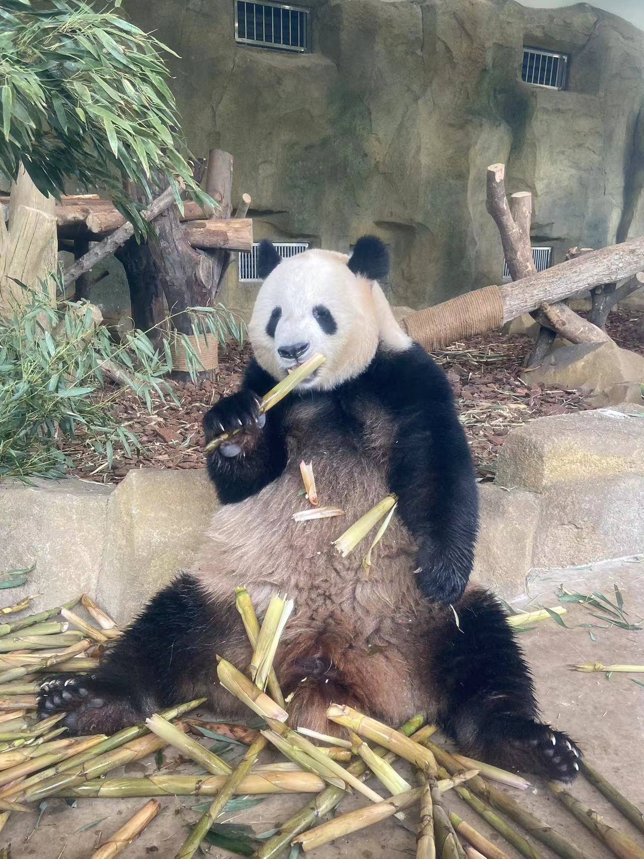 Image_20230615111753