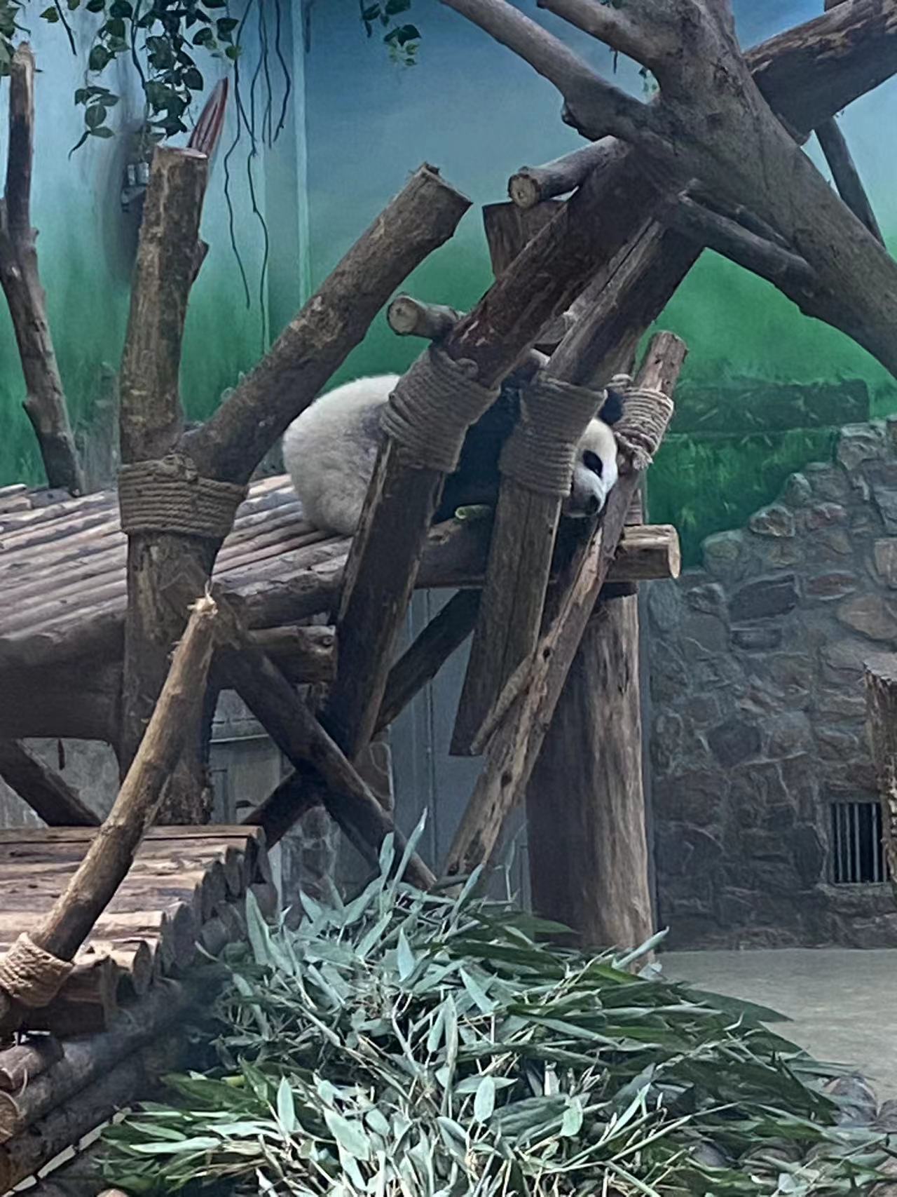 Image_20230615111807