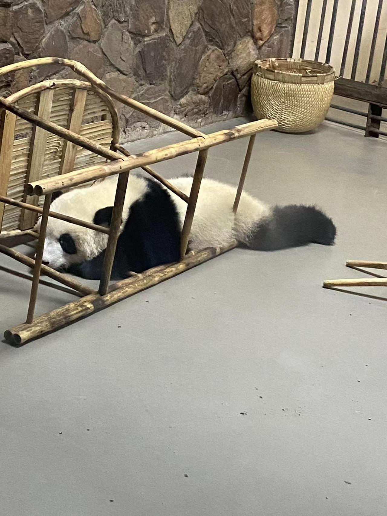 Image_20230615111811