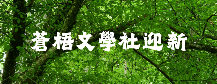 Welcome to Cangwu_ch