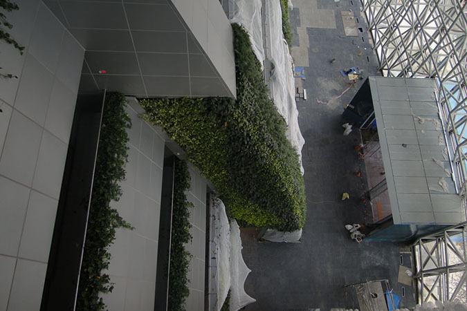 DSC04876