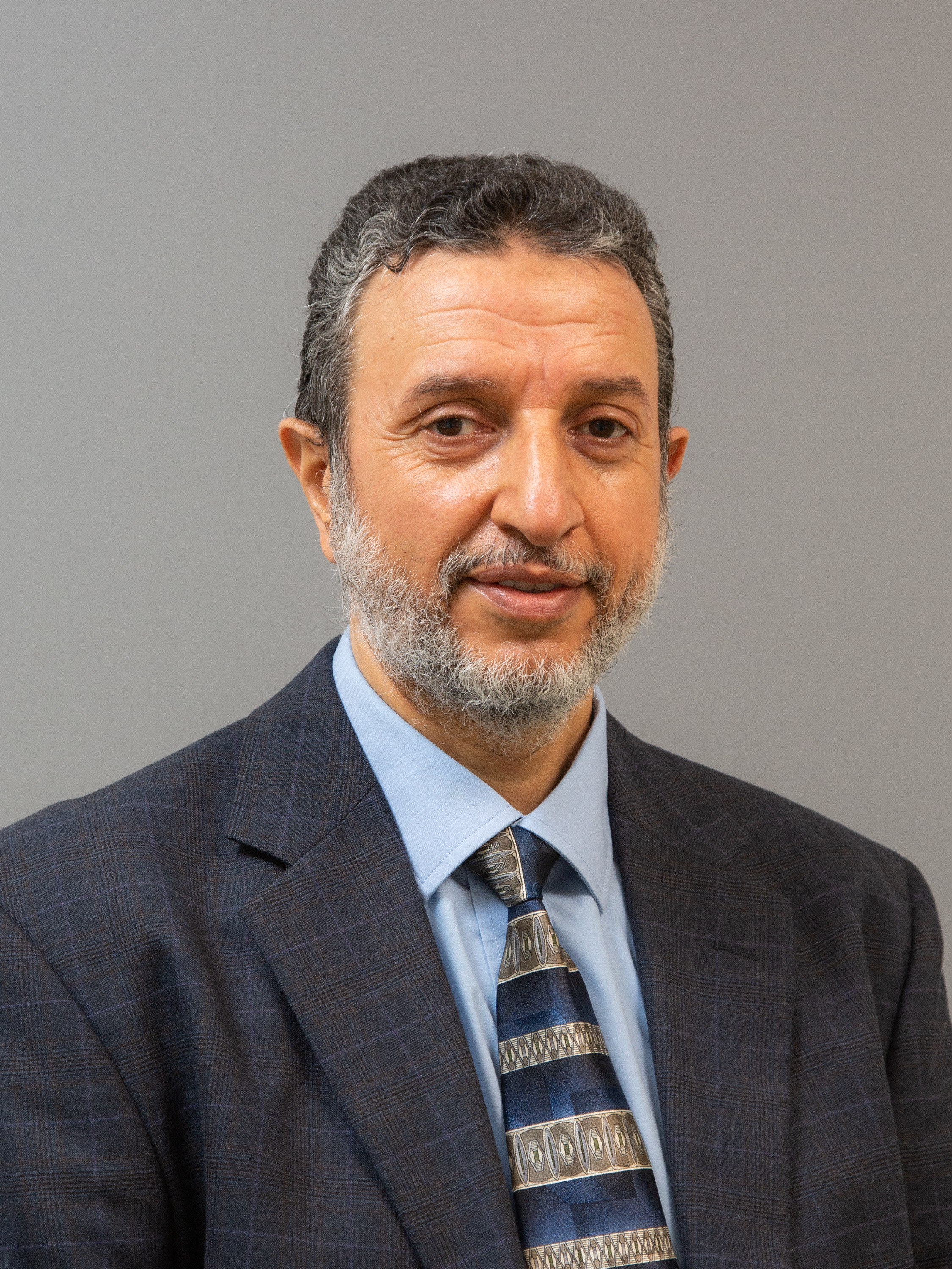 Ir Prof. ZAYED Tarek