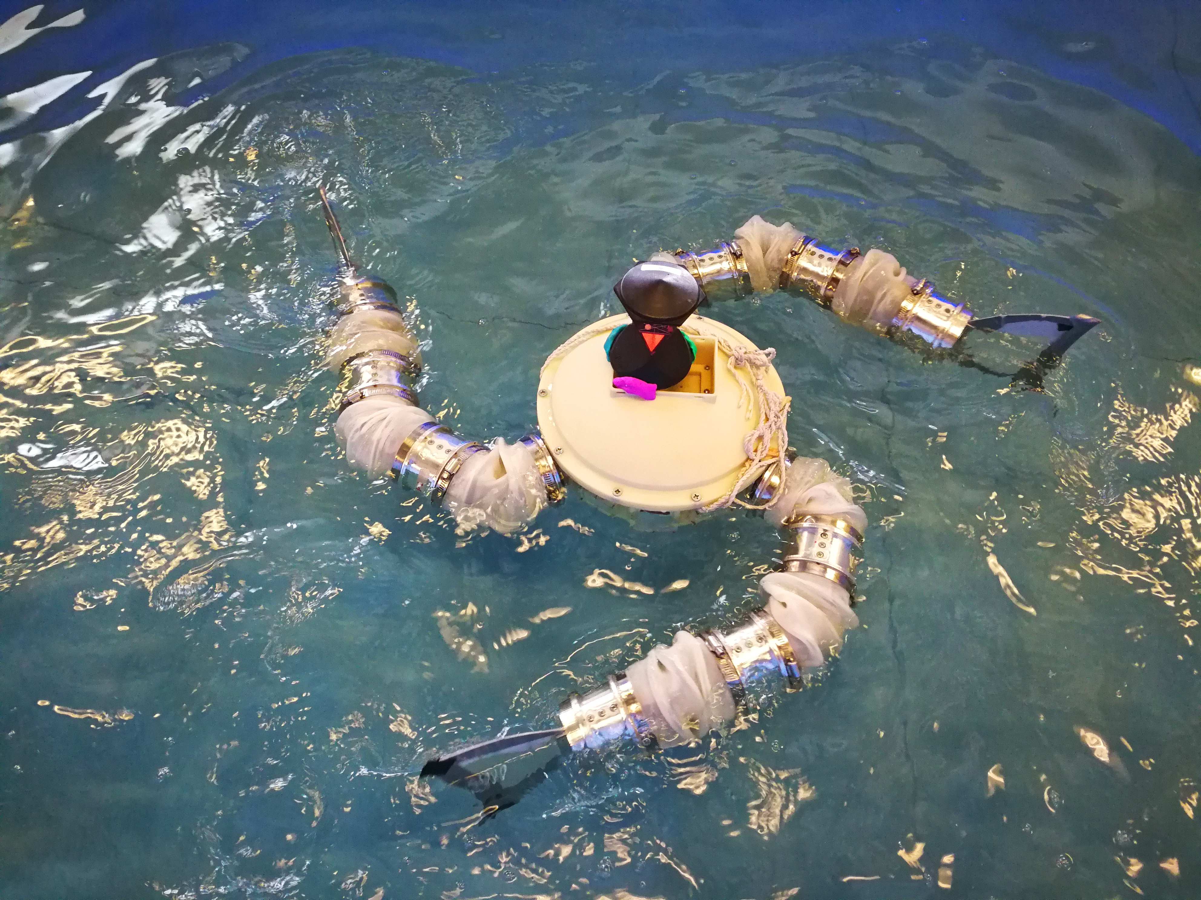 理大机械工程学系景兴建博士研制的仿生物全方位多模式海洋机械人。